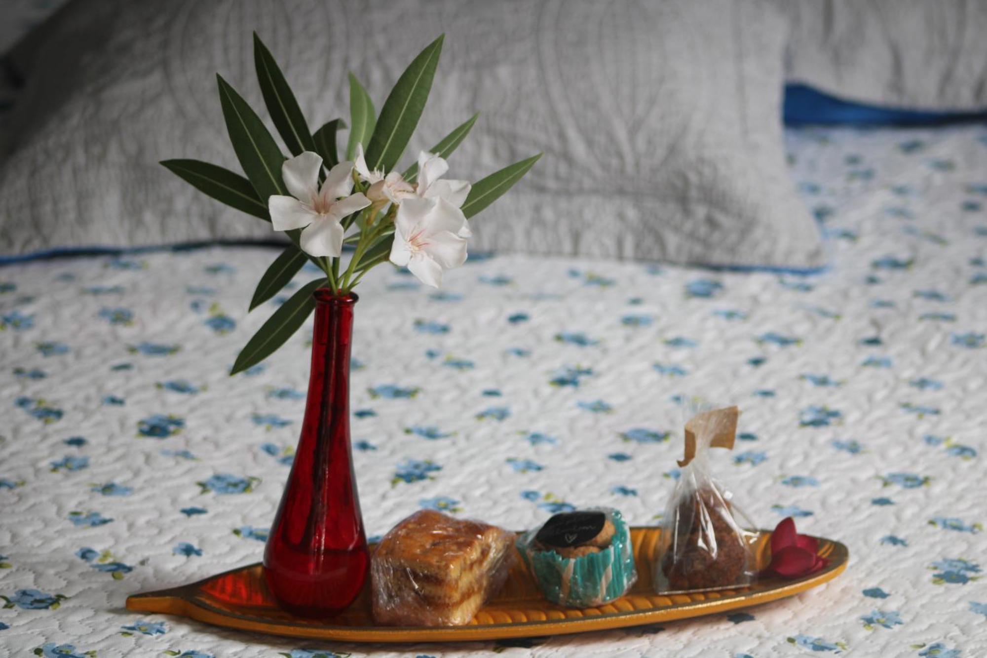 Le Colibri Et Le Frangipanier Daire La Trinité Dış mekan fotoğraf